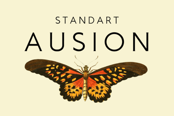 Ausion: A Clean Sans Serif Typeface for Modern Editorial Design