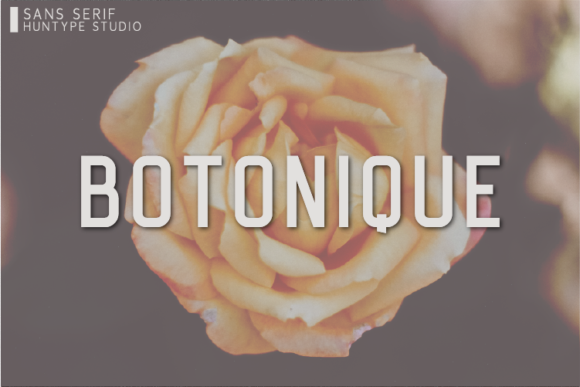 Botonique: A Clean Sans Serif Typeface for Modern Web Design
