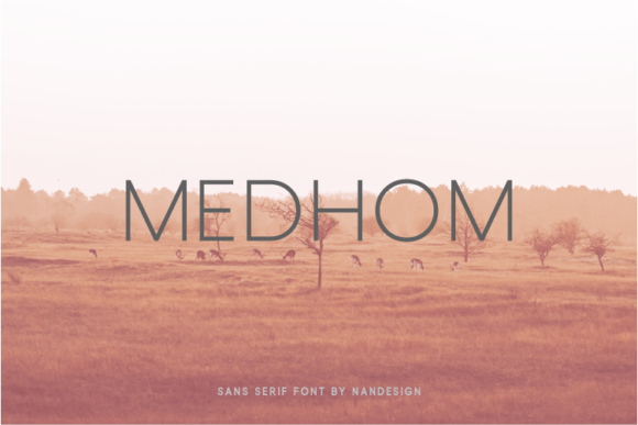 Medhom Font: A Modern Sans Serif for Makers