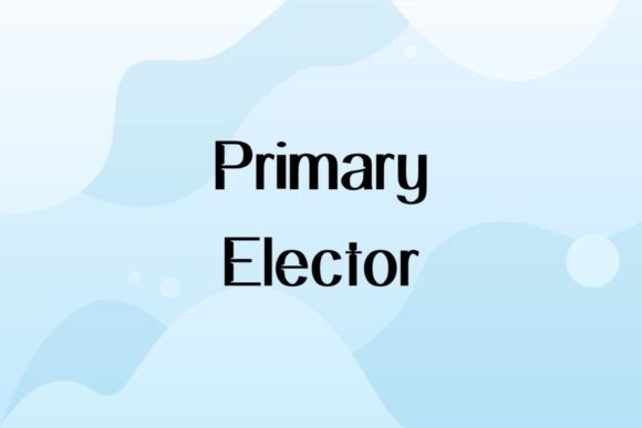 Primary Elector: A Versatile Sans Serif Typeface for Editors
