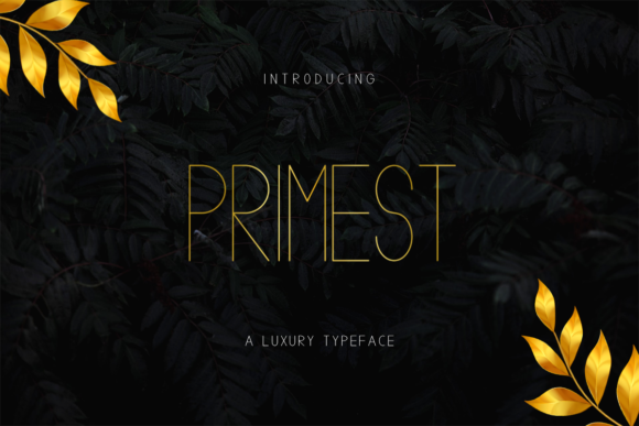 Primest: The Clean Sans Serif Font for Small Business Branding