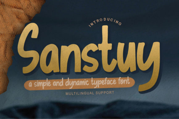 Sanstuy: A Dynamic Typeface for Modern Web Design