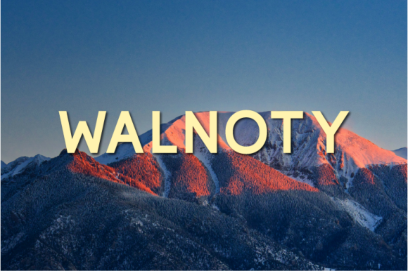 Walnoty Font Review: A Neat Sans Serif for Modern Brands